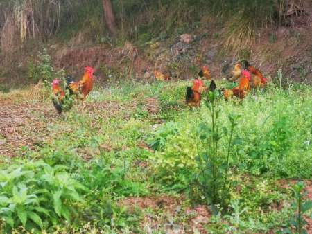 ba5dc3285922fe899cc620ae0d49563