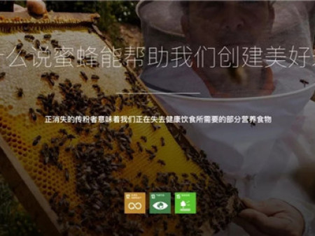 为什么说蜜蜂能帮助我们创建美好未来？