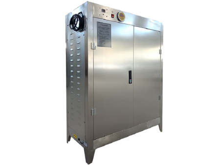 100公斤燃气蒸汽发生器