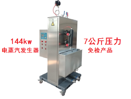 电蒸汽发生器