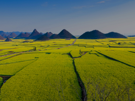 湖北新丹利生态工程有限公司是集科研、开发、生产销售于一体的高新技术企业。