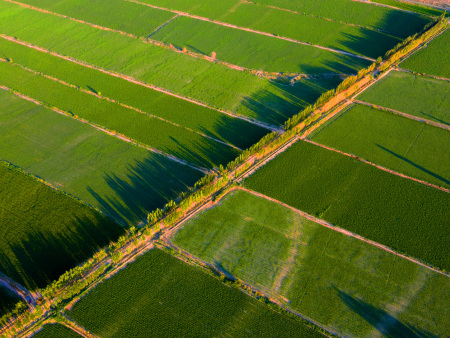 湖北新丹利生态工程有限公司是集科研、开发、生产销售于一体的高新技术企业。