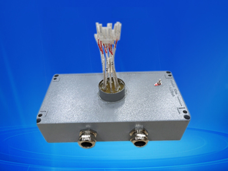 Zekx系列一体化温控测温接线盒
