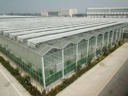 玻璃温室建设