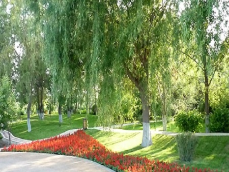 香格里拉庭院绿化工程