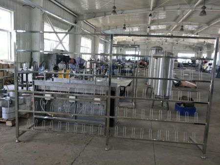 mmexport1545095731082 mmexport1545095731082