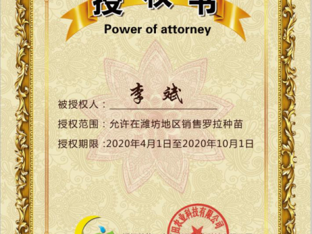 2020年罗拉种苗预定开始啦