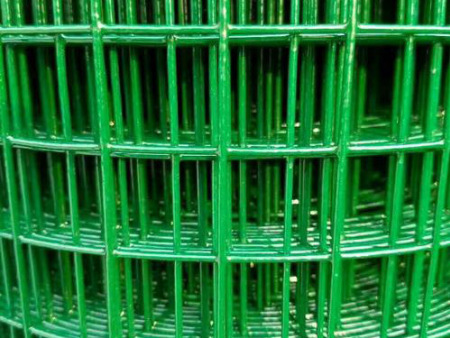 青海荷蘭網(wǎng)