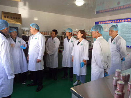 食药所视察工作