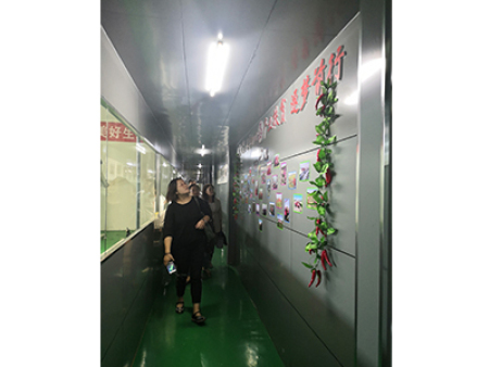 妇联主任参观调研