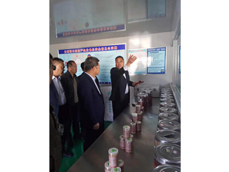 区委书记视察工作