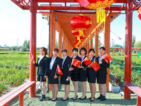 庆祝国庆70周年 