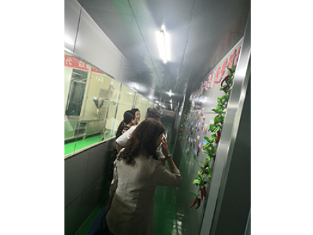 妇联主任参观调研