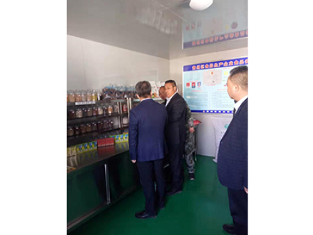 区委书记视察工作