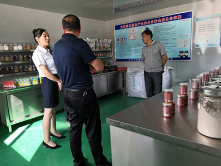 工信委领导视察工作