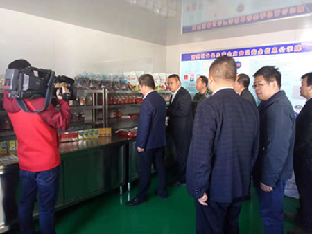 区委书记视察工作