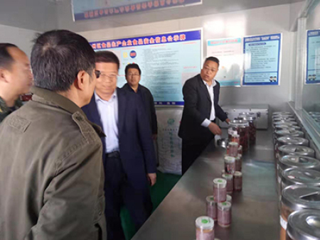 区委书记视察工作