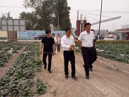 区领导视察工作