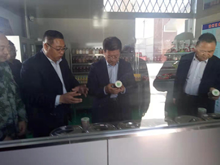 区委书记视察工作