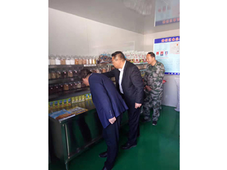 区委书记视察工作