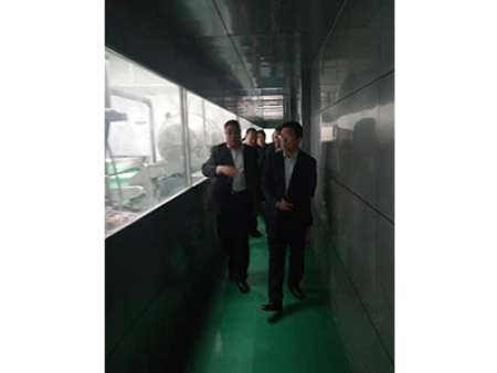 区委书记视察工作