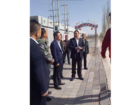 区委书记视察工作