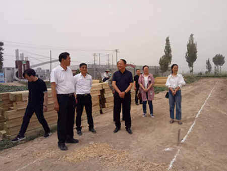 区领导视察工作