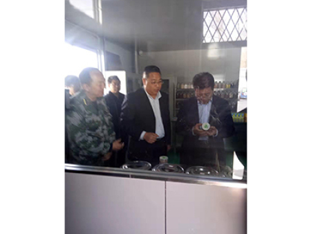 区委书记视察工作