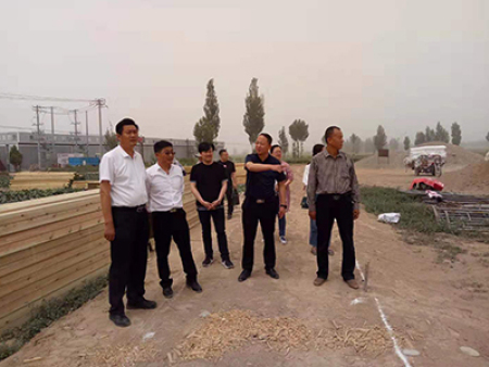 区领导视察工作