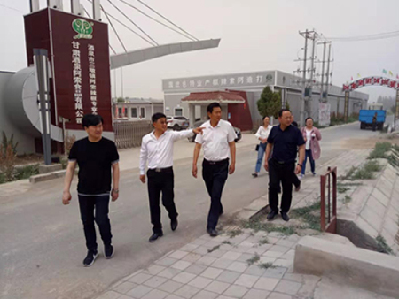 区领导视察工作