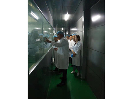 食药所视察工作