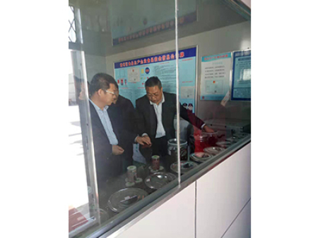 区委书记视察工作