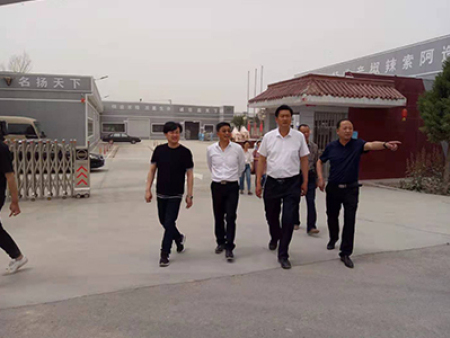 区领导视察工作