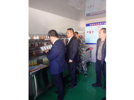 区委书记视察工作