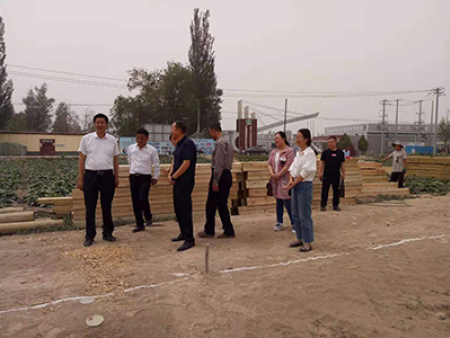 区领导视察工作
