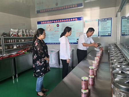 妇联主任参观调研 