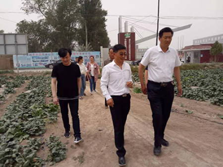 区领导视察工作