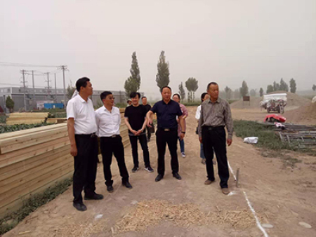 区领导视察工作