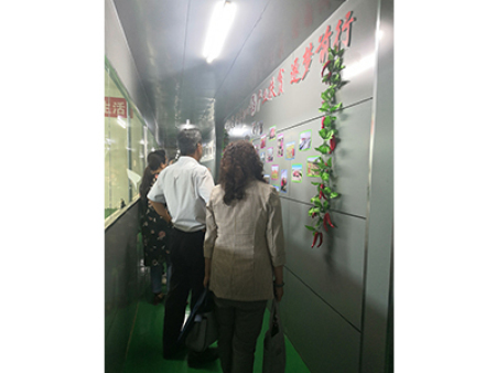 妇联主任参观调研 