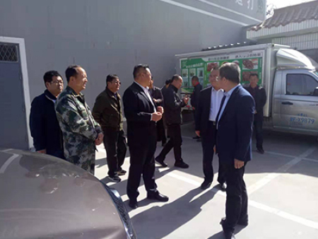 区委书记视察工作