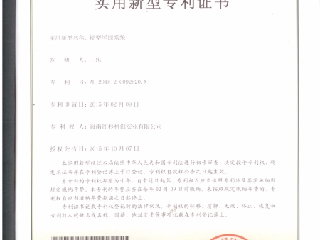 11-輕型屋面系統(tǒng)ZL201520092520.X