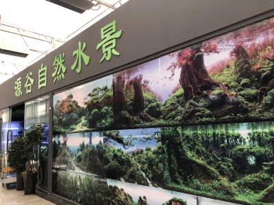 郑州鱼缸维护|庭院设计公司|河南雨淋造景|水陆景观设计公司-源谷自然水景