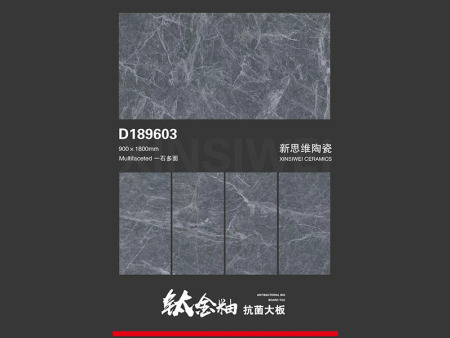 D189603