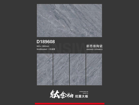 D189608