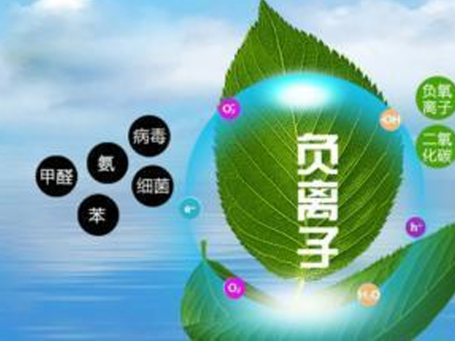 什么是“負(fù)氧離子”
