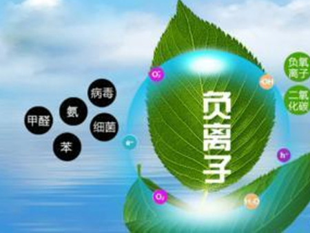 什么是“負(fù)氧離子”