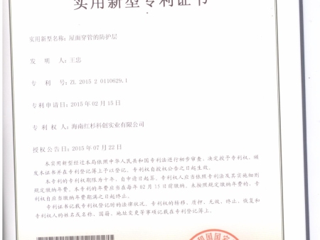 17-屋面穿管的防護層ZL201520110629.1