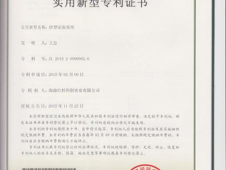 10-輕型屋面系統(tǒng)ZL201520090062.6