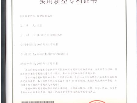 12-輕型屋面系統(tǒng)ZL201520091078.9_看圖王