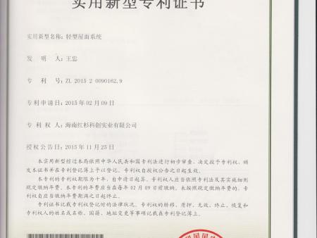 6-輕型屋面系統(tǒng)ZL201520090162.9